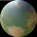 ./images/calvert/underwater/20260905/underwater20260905_182501M.jpg