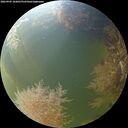 ./images/calvert/underwater/20260905/underwater20260905_183001M.jpg