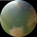 ./images/calvert/underwater/20260905/underwater20260905_183501M.jpg