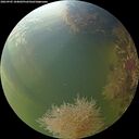 ./images/calvert/underwater/20260905/underwater20260905_184001M.jpg