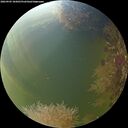 ./images/calvert/underwater/20260905/underwater20260905_185001M.jpg