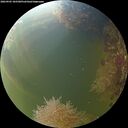 ./images/calvert/underwater/20260905/underwater20260905_185501M.jpg