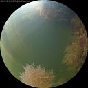 ./images/calvert/underwater/20260905/underwater20260905_191001M.jpg
