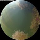 ./images/calvert/underwater/20260905/underwater20260905_191501M.jpg