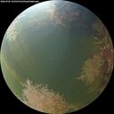 ./images/calvert/underwater/20260905/underwater20260905_192501M.jpg