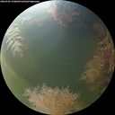 ./images/calvert/underwater/20260905/underwater20260905_194001M.jpg