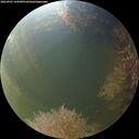 ./images/calvert/underwater/20260905/underwater20260905_194501M.jpg