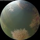 ./images/calvert/underwater/20260905/underwater20260905_195001M.jpg