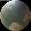 ./images/calvert/underwater/20260905/underwater20260905_195501M.jpg