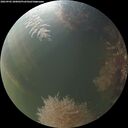 ./images/calvert/underwater/20260905/underwater20260905_200002M.jpg