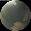 ./images/calvert/underwater/20260905/underwater20260905_202002M.jpg