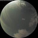 ./images/calvert/underwater/20260905/underwater20260905_202501M.jpg