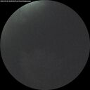 ./images/calvert/underwater/20260906/underwater20260906_062002M.jpg