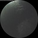 ./images/calvert/underwater/20260906/underwater20260906_062501M.jpg