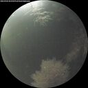 ./images/calvert/underwater/20260906/underwater20260906_063501M.jpg