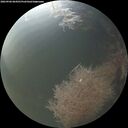 ./images/calvert/underwater/20260906/underwater20260906_064501M.jpg