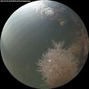 ./images/calvert/underwater/20260906/underwater20260906_065001M.jpg