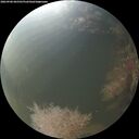 ./images/calvert/underwater/20260906/underwater20260906_065501M.jpg