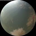 ./images/calvert/underwater/20260906/underwater20260906_070001M.jpg