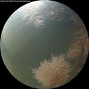 ./images/calvert/underwater/20260906/underwater20260906_070501M.jpg