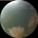 ./images/calvert/underwater/20260906/underwater20260906_071001M.jpg
