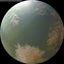 ./images/calvert/underwater/20260906/underwater20260906_071502M.jpg