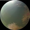 ./images/calvert/underwater/20260906/underwater20260906_072001M.jpg