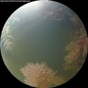 ./images/calvert/underwater/20260906/underwater20260906_073001M.jpg