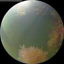 ./images/calvert/underwater/20260906/underwater20260906_074502M.jpg