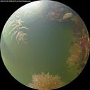 ./images/calvert/underwater/20260906/underwater20260906_080002M.jpg