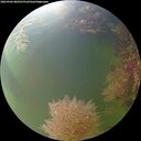 ./images/calvert/underwater/20260906/underwater20260906_080501M.jpg