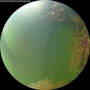 ./images/calvert/underwater/20260906/underwater20260906_083001M.jpg