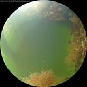 ./images/calvert/underwater/20260906/underwater20260906_085501M.jpg
