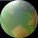 ./images/calvert/underwater/20260906/underwater20260906_090501M.jpg