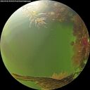 ./images/calvert/underwater/20260906/underwater20260906_094501M.jpg
