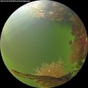 ./images/calvert/underwater/20260906/underwater20260906_095001M.jpg