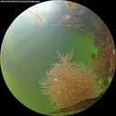 ./images/calvert/underwater/20260906/underwater20260906_095502M.jpg