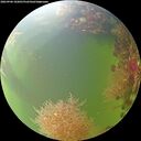./images/calvert/underwater/20260906/underwater20260906_102001M.jpg