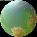 ./images/calvert/underwater/20260906/underwater20260906_103001M.jpg