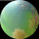 ./images/calvert/underwater/20260906/underwater20260906_104001M.jpg