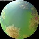 ./images/calvert/underwater/20260906/underwater20260906_104501M.jpg
