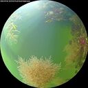 ./images/calvert/underwater/20260906/underwater20260906_105501M.jpg