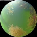 ./images/calvert/underwater/20260906/underwater20260906_110001M.jpg