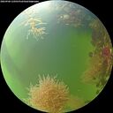 ./images/calvert/underwater/20260906/underwater20260906_110501M.jpg