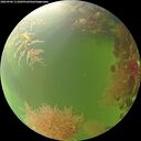 ./images/calvert/underwater/20260906/underwater20260906_111001M.jpg