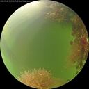 ./images/calvert/underwater/20260906/underwater20260906_111501M.jpg