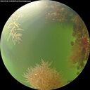 ./images/calvert/underwater/20260906/underwater20260906_112001M.jpg
