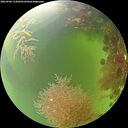 ./images/calvert/underwater/20260906/underwater20260906_113001M.jpg