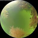 ./images/calvert/underwater/20260906/underwater20260906_113501M.jpg