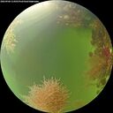 ./images/calvert/underwater/20260906/underwater20260906_114501M.jpg